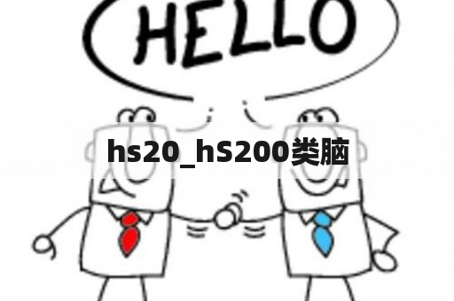 hs20_hS200类脑