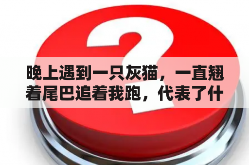 晚上遇到一只灰猫，一直翘着尾巴追着我跑，代表了什么。不是做梦？遇到猫半夜追着人不放是什么征兆``？