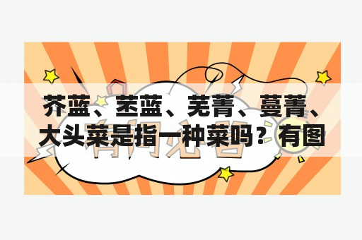 芥蓝、苤蓝、芜菁、蔓菁、大头菜是指一种菜吗？有图片最好？大头菜结实的好还是松的好？