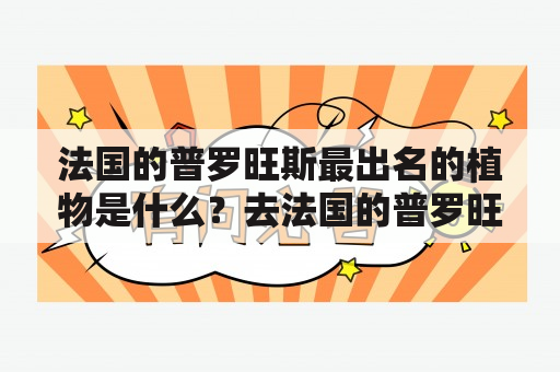 法国的普罗旺斯最出名的植物是什么？去法国的普罗旺斯定居要什么条件？