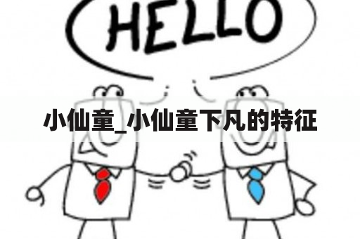 小仙童_小仙童下凡的特征