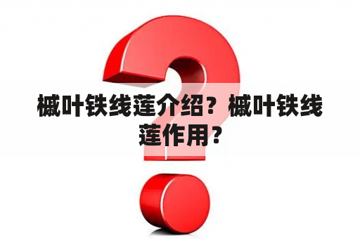 槭叶铁线莲介绍？槭叶铁线莲作用？