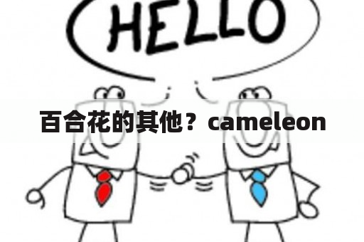 百合花的其他？cameleon