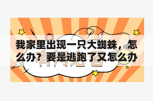 我家里出现一只大蜘蛛，怎么办？要是逃跑了又怎么办？蜘蛛代表什么象征意义？