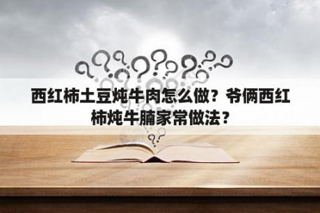 西红柿土豆炖牛肉怎么做？爷俩西红柿炖牛腩家常做法？