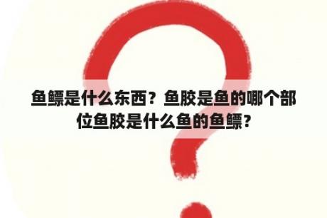 鱼鳔是什么东西？鱼胶是鱼的哪个部位鱼胶是什么鱼的鱼鳔？