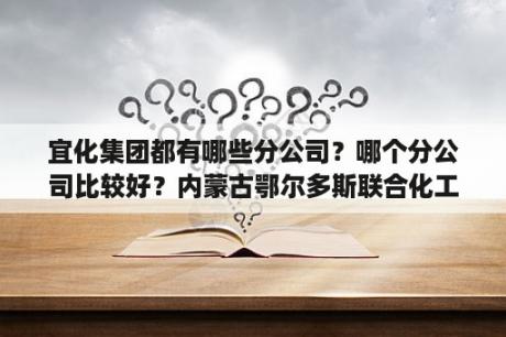 宜化集团都有哪些分公司？哪个分公司比较好？内蒙古鄂尔多斯联合化工有限公司怎么样？