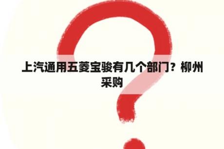 上汽通用五菱宝骏有几个部门？柳州采购