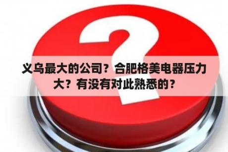 义乌最大的公司？合肥格美电器压力大？有没有对此熟悉的？