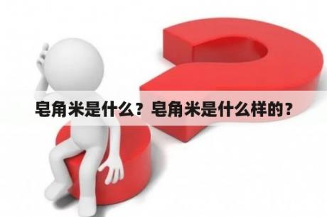 皂角米是什么？皂角米是什么样的？