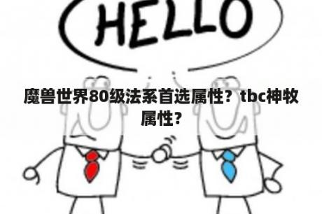 魔兽世界80级法系首选属性？tbc神牧属性？