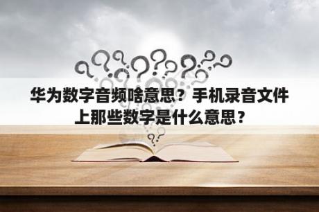 华为数字音频啥意思？手机录音文件上那些数字是什么意思？