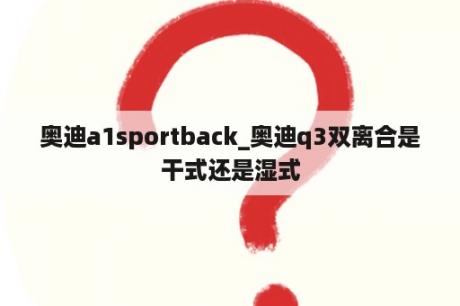 奥迪a1sportback_奥迪q3双离合是干式还是湿式