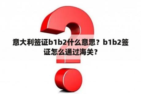 意大利签证b1b2什么意思？b1b2签证怎么通过海关？