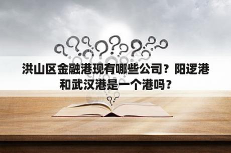 洪山区金融港现有哪些公司？阳逻港和武汉港是一个港吗？