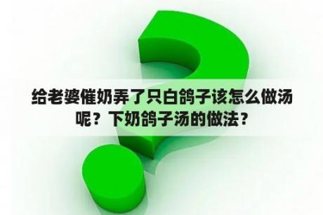 给老婆催奶弄了只白鸽子该怎么做汤呢？下奶鸽子汤的做法？