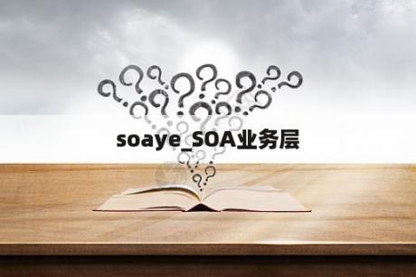 soaye_SOA业务层