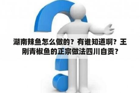 湖南辣鱼怎么做的？有谁知道啊？王刚青椒鱼的正宗做法四川自贡？