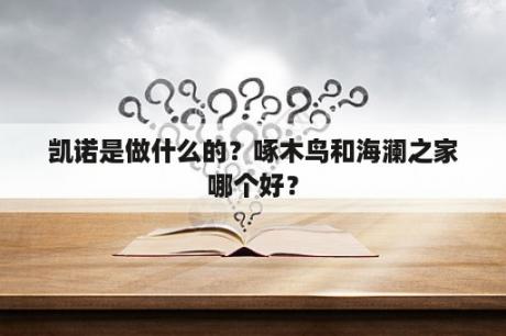 凯诺是做什么的？啄木鸟和海澜之家哪个好？