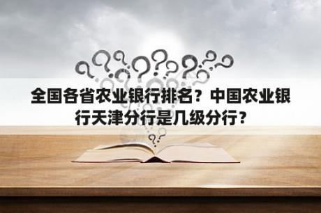 全国各省农业银行排名？中国农业银行天津分行是几级分行？