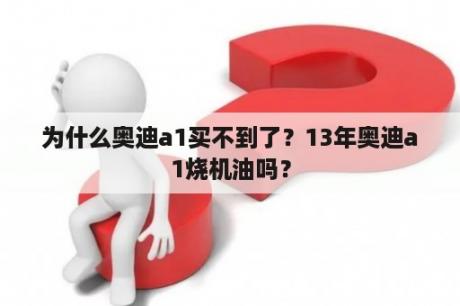 为什么奥迪a1买不到了？13年奥迪a1烧机油吗？