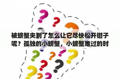 被螃蟹夹到了怎么让它尽快松开钳子呢？孤独的小螃蟹，小螃蟹难过的时候总喜欢做什么？