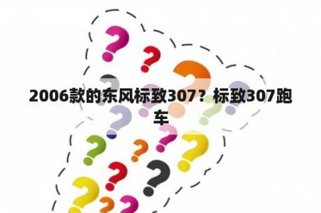 2006款的东风标致307？标致307跑车