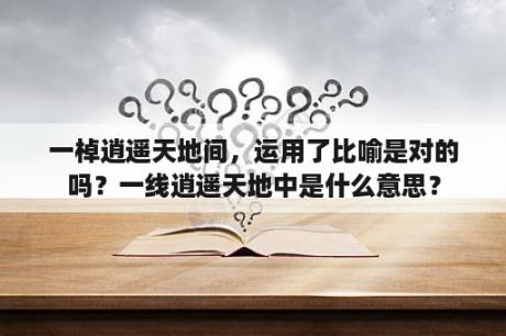 一棹逍遥天地间，运用了比喻是对的吗？一线逍遥天地中是什么意思？