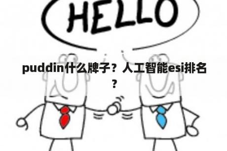 puddin什么牌子？人工智能esi排名？