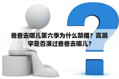 爸爸去哪儿第六季为什么禁播？高瀚宇是否演过爸爸去哪儿？