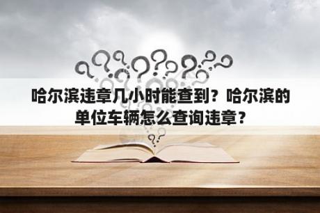 哈尔滨违章几小时能查到？哈尔滨的单位车辆怎么查询违章？