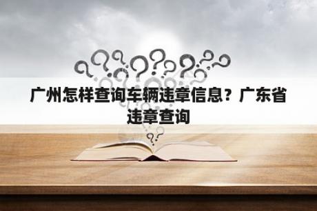 广州怎样查询车辆违章信息？广东省违章查询