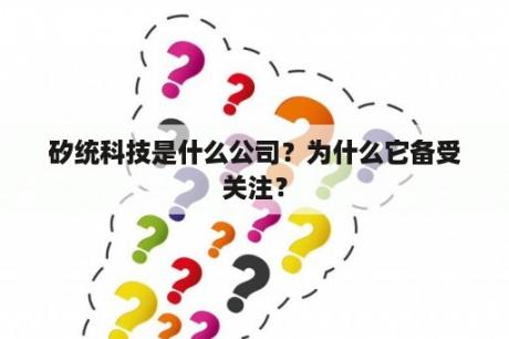 矽统科技是什么公司？为什么它备受关注？