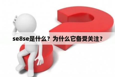 se8se是什么？为什么它备受关注？