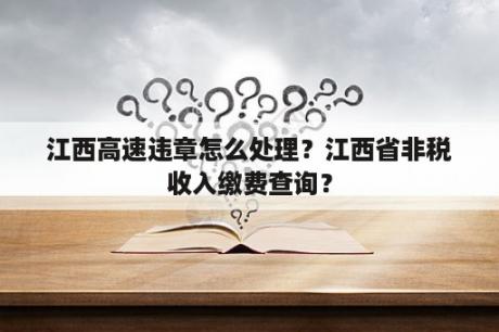 江西高速违章怎么处理？江西省非税收入缴费查询？