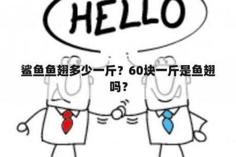 鲨鱼鱼翅多少一斤？60块一斤是鱼翅吗？