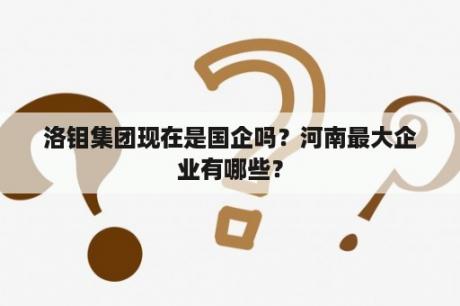 洛钼集团现在是国企吗？河南最大企业有哪些？