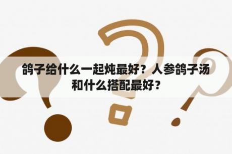 鸽子给什么一起炖最好？人参鸽子汤和什么搭配最好？