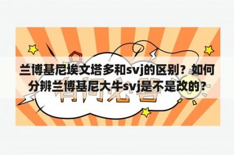 兰博基尼埃文塔多和svj的区别？如何分辨兰博基尼大牛svj是不是改的？