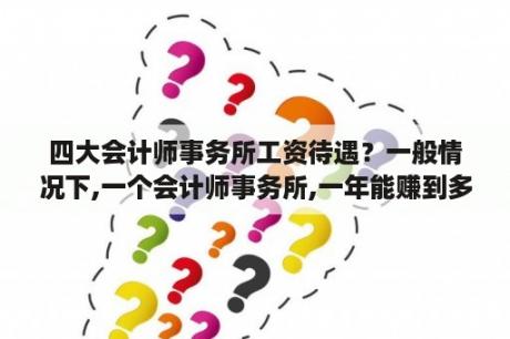 四大会计师事务所工资待遇？一般情况下,一个会计师事务所,一年能赚到多少纯利？