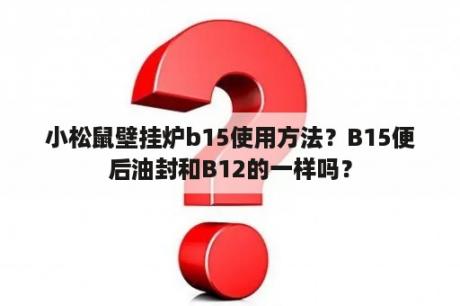 小松鼠壁挂炉b15使用方法？B15便后油封和B12的一样吗？