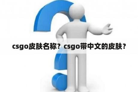 csgo皮肤名称？csgo带中文的皮肤？