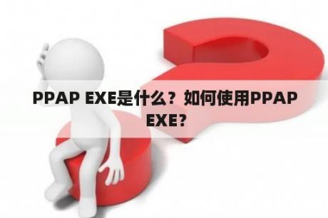 PPAP EXE是什么？如何使用PPAP EXE？