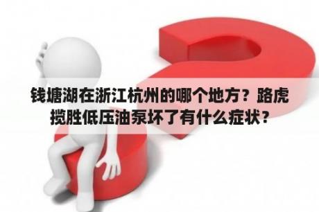 钱塘湖在浙江杭州的哪个地方？路虎揽胜低压油泵坏了有什么症状？