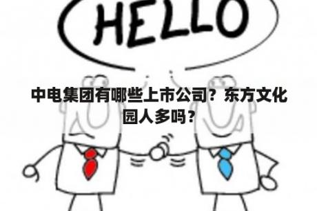 中电集团有哪些上市公司？东方文化园人多吗？