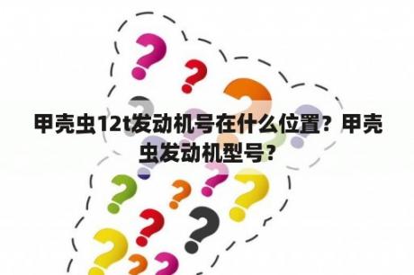 甲壳虫12t发动机号在什么位置？甲壳虫发动机型号？