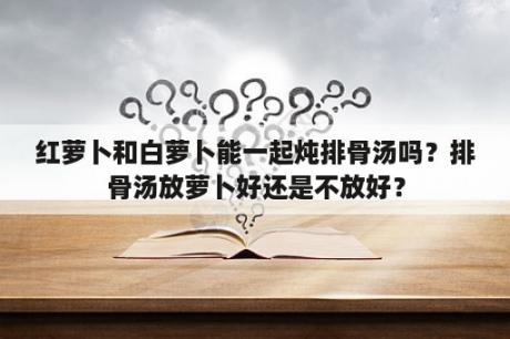 红萝卜和白萝卜能一起炖排骨汤吗？排骨汤放萝卜好还是不放好？