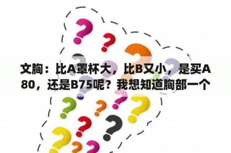 文胸：比A罩杯大，比B又小，是买A80，还是B75呢？我想知道胸部一个罩杯是多大，搞不清楚，我是女生，一个罩杯相当于什么东西一样大？