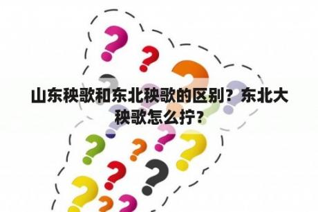 山东秧歌和东北秧歌的区别？东北大秧歌怎么拧？