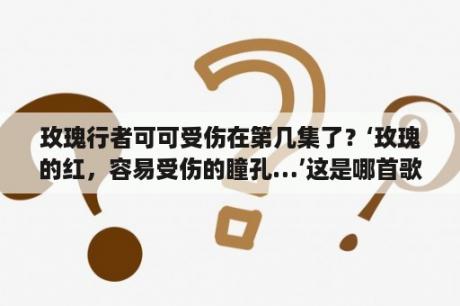 玫瑰行者可可受伤在第几集了？‘玫瑰的红，容易受伤的瞳孔…’这是哪首歌里的歌词？